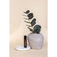 The Self Practice Club Breakout Rescue Roller